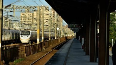 professional online hub platform